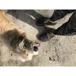 Duckfeet - Faborg - Chaussures de loisirs -magasin de baskets duckfeet faborg bottes a lacets ed0b09d290bdf0b2be3a9ac142cf5980 1